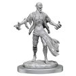 D&D Miniature Figurine - Nosferatu Hot on Sale